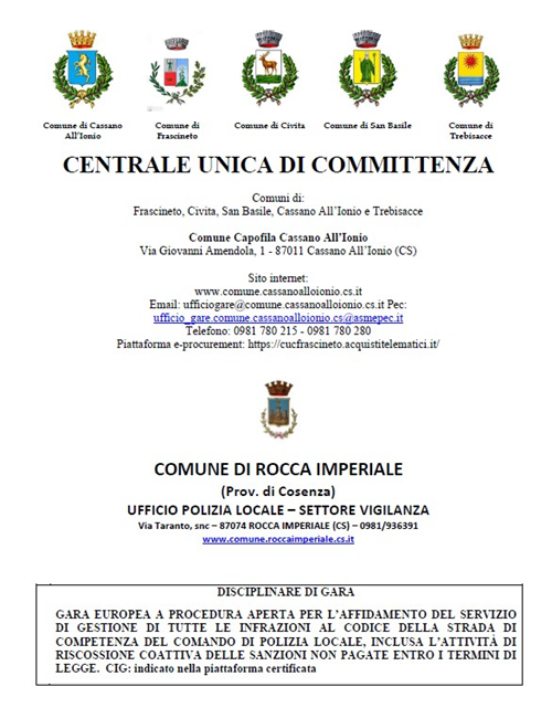 Procedura aperta telematica sopra soglia comunitaria per l'affidamento del "Servizio di gestione delle infrazioni al Codice della Strada e attività di riscossione coattiva".
